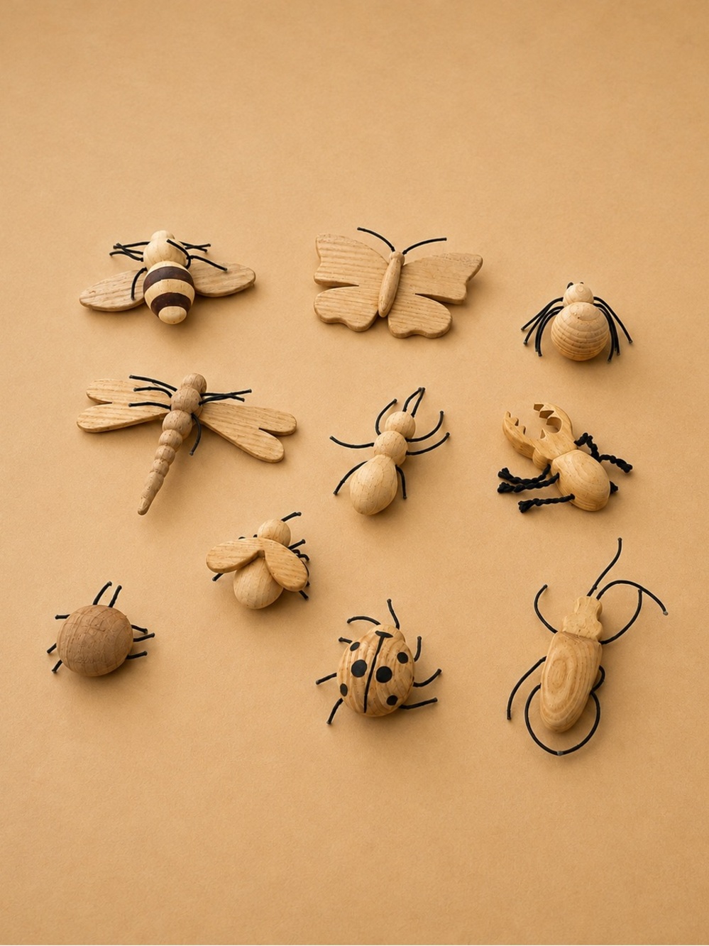 Oshkin Wood Craft Wooden Insect Collection